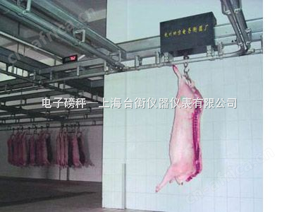 特殊衡器
