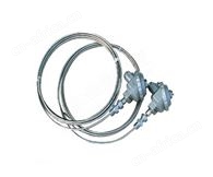 铠装热电偶WRNK-281