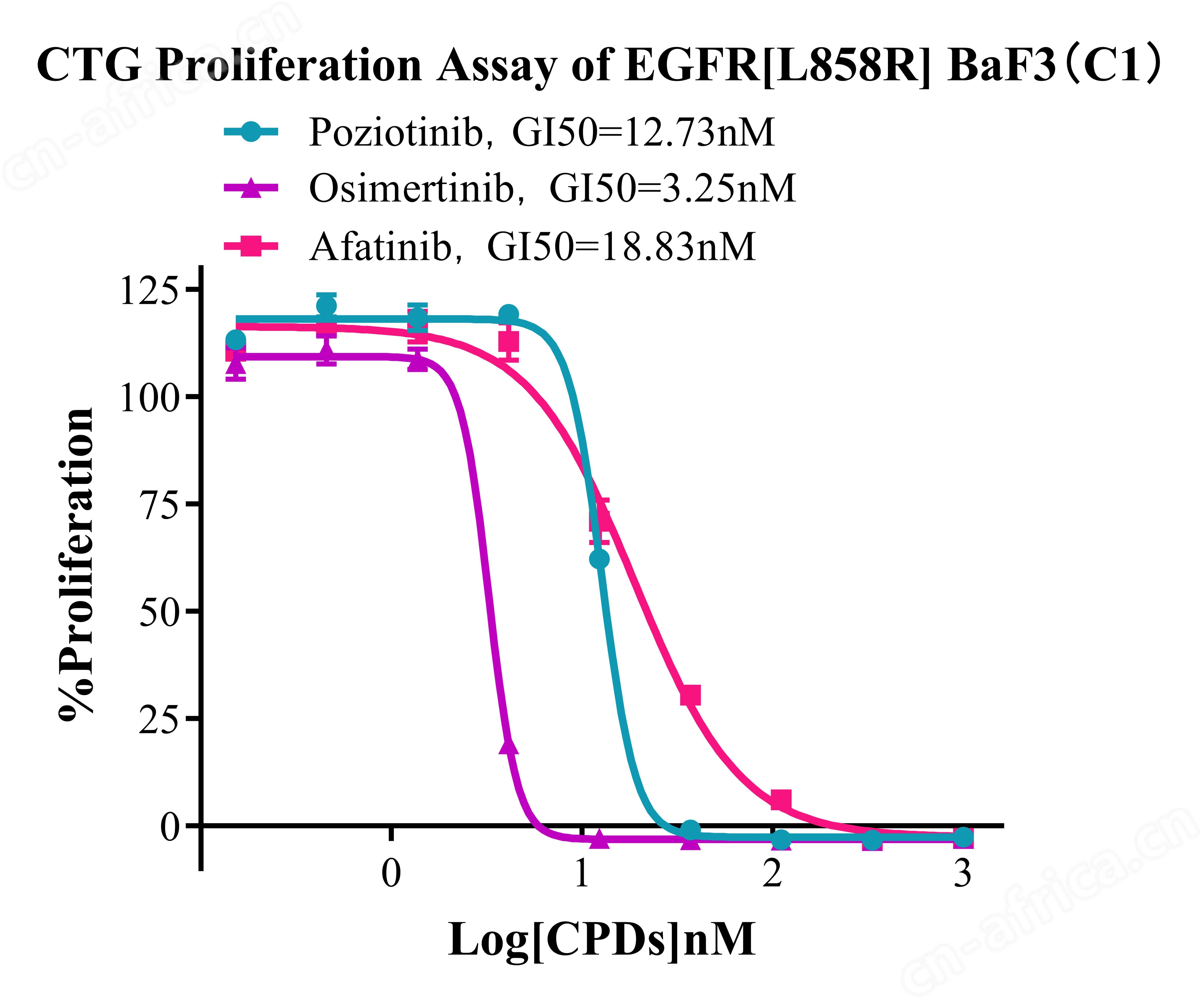 EGFR L858R/BaF3
