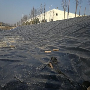 辽宁蓝色防渗膜批发厂家(辽宁蓝色防渗膜批发:可能省下你的钱!) 辽宁蓝色防渗膜批发厂家(辽宁蓝色防渗膜批发:可能省下你的钱!)